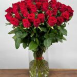 Red Naomi! - Rode rozen - 50 stuks BASIC