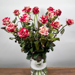 Boeket Harlequin