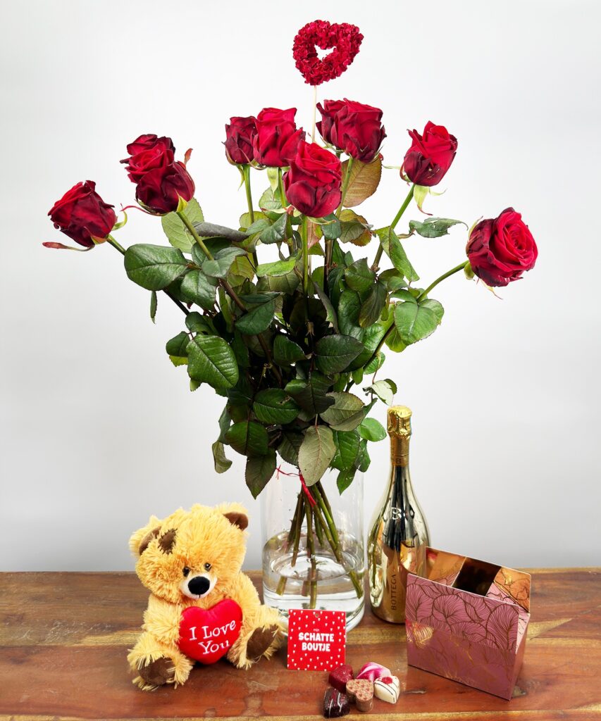 10 Red Naomi - Bear - Chocolate - Prosecco