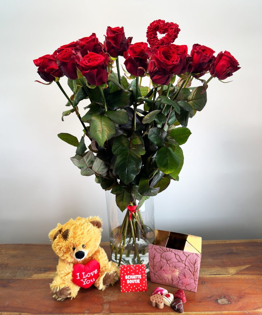 15 Red Naomi - Ours - Chocolat