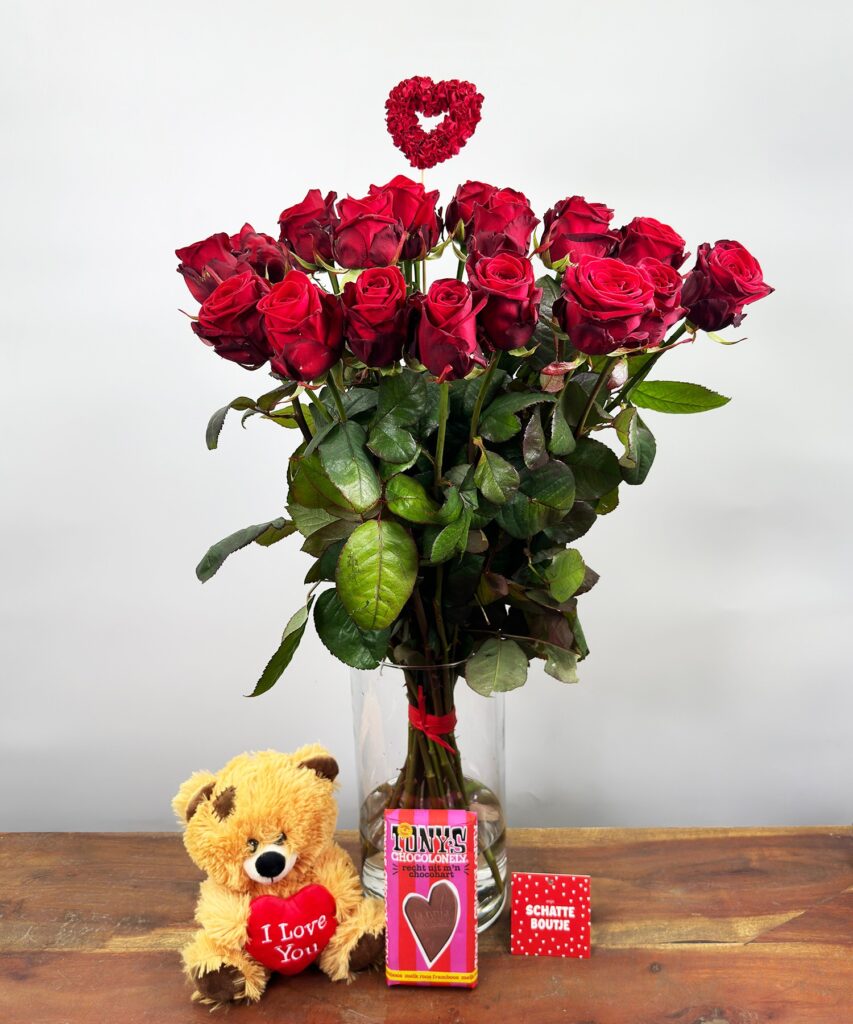 20 Red Naomi - Bear - Tony's rose - framboise