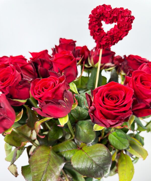 20 Red Naomi - Beertje - Tony's roos - framboos