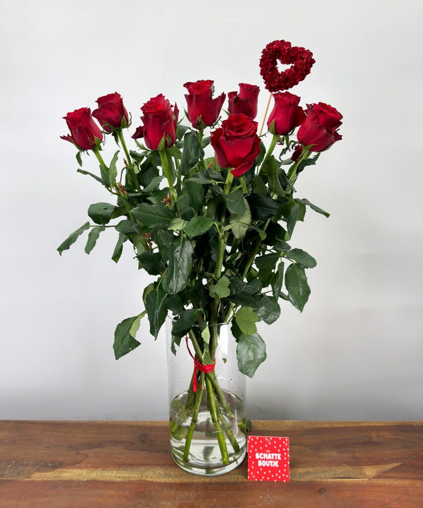 10 Rhodes Red rose