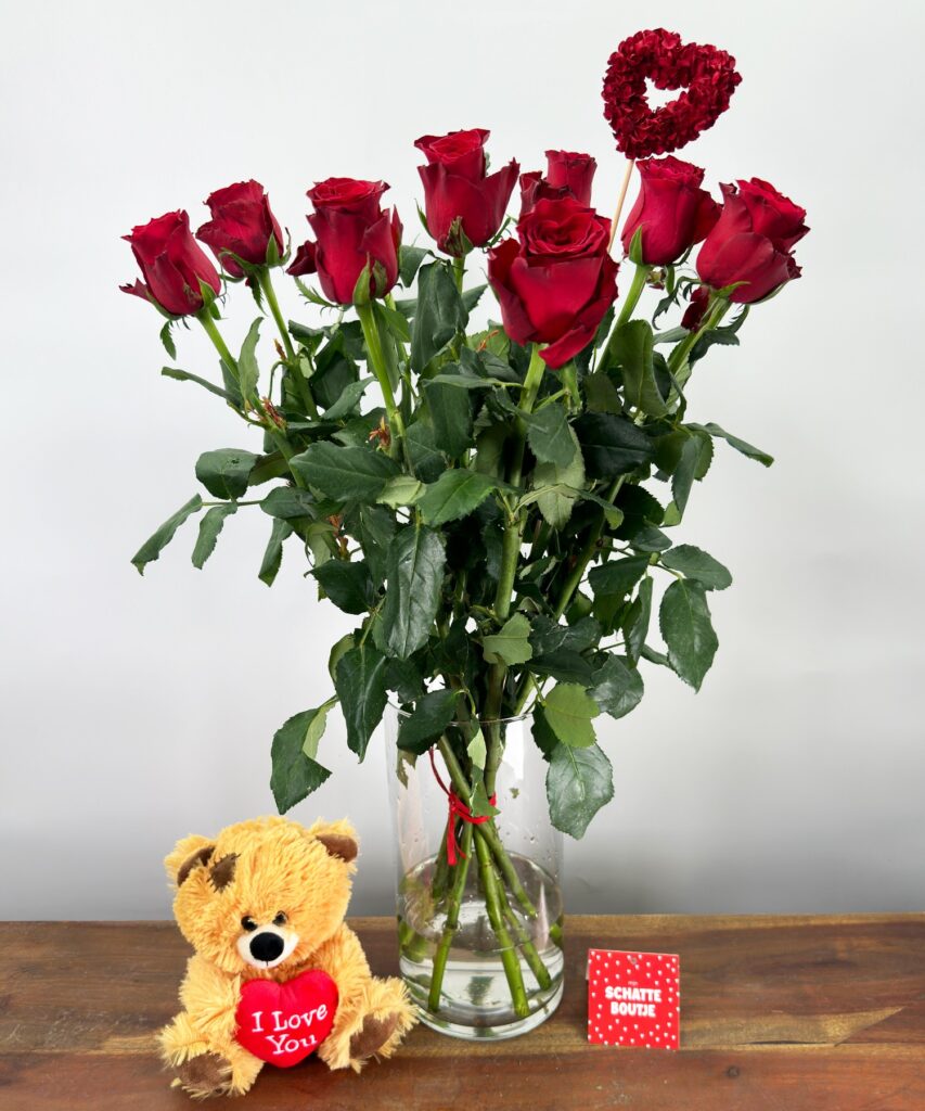 10 Rhodes Rose rouge - Ours