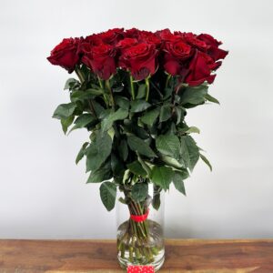 25 Rode Rozen Freedom - Explorer