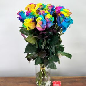 15 Rainbow Rozen Mondial
