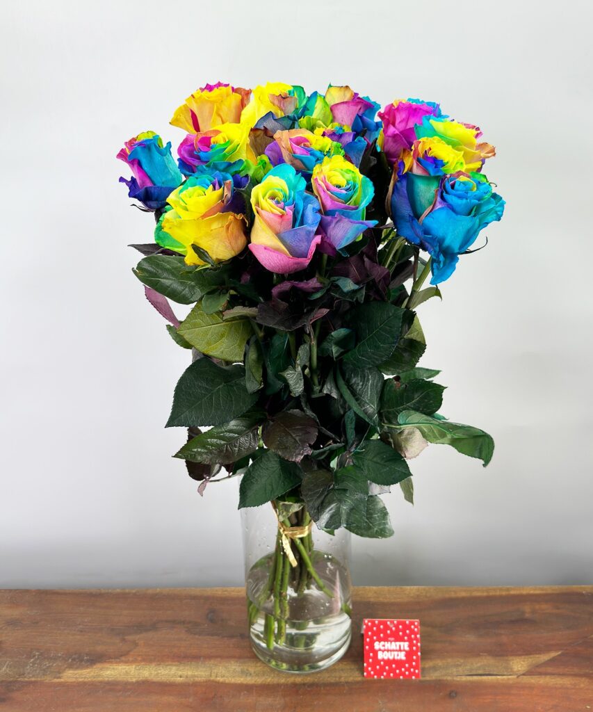 15 Rainbow Roses Mondial