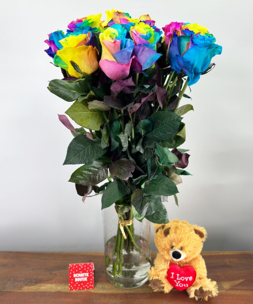 15 Rainbow roses Mondial - Bear