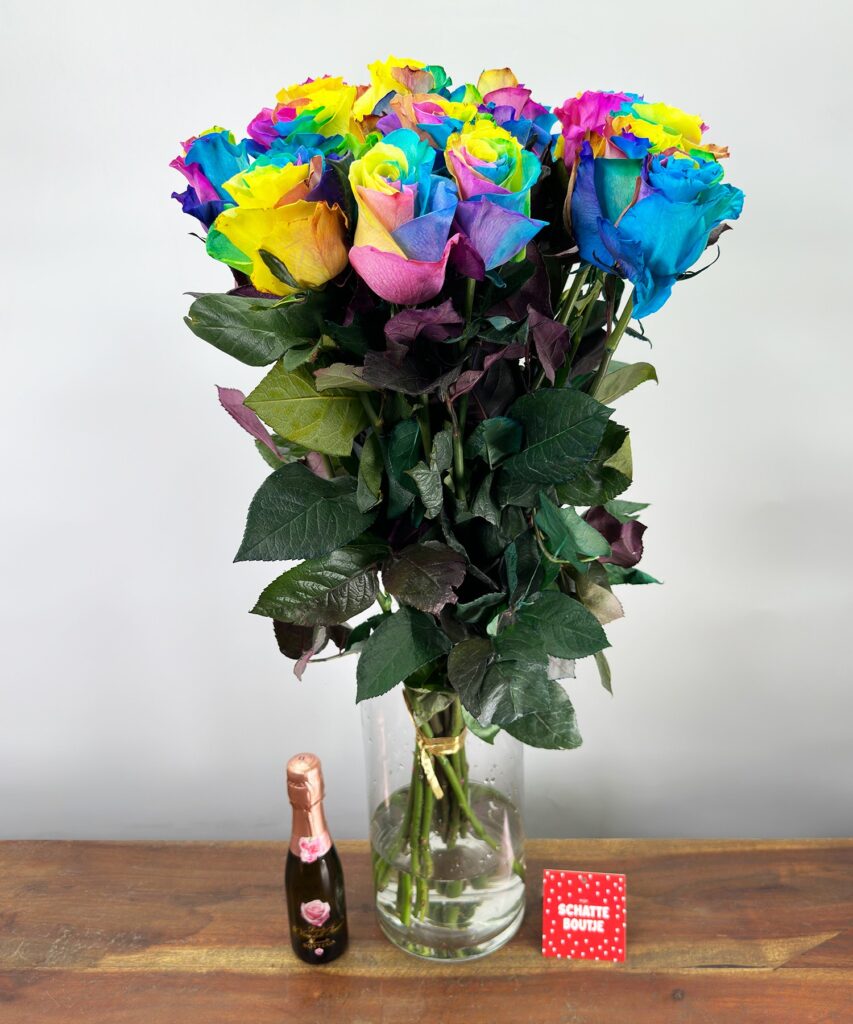 15 Rainbow roses Mondial - Prosecco (piccolo)