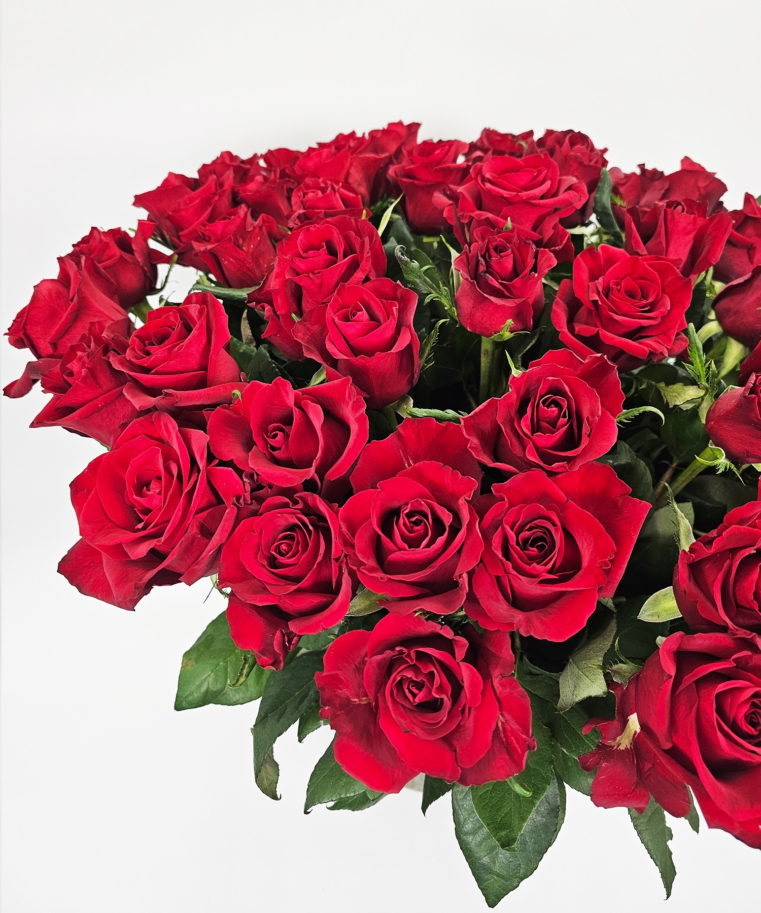 100 Ever Red Rode rozen