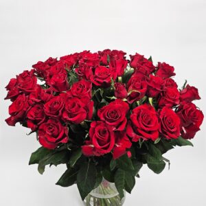 100 Ever Red Rode rozen