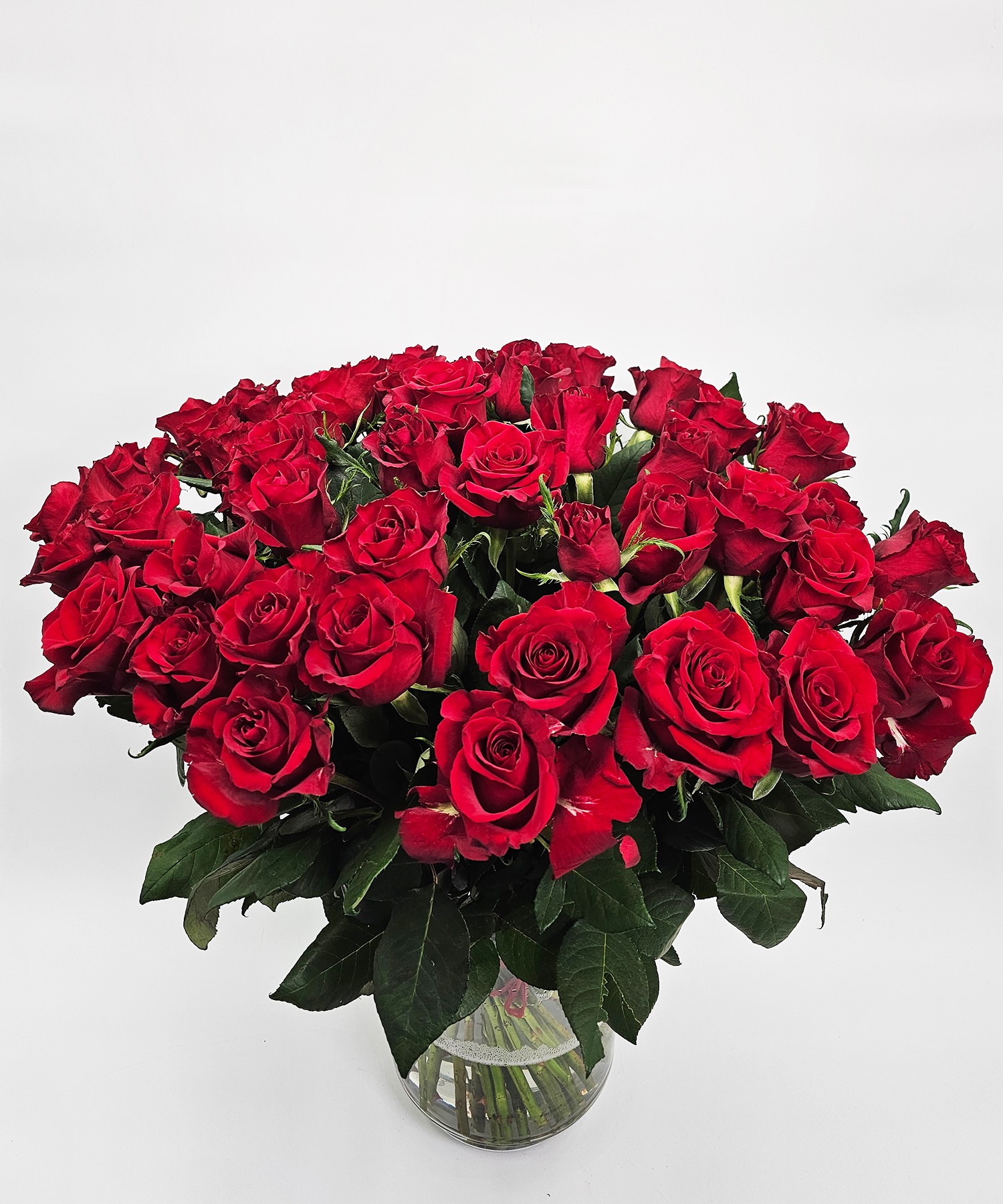 100 Ever Red Rode rozen