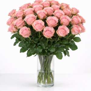 Sophia Loren 50 stuks