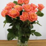 12 Miss Piggy+ Rozen – Zalmroze & Oranje Rozen