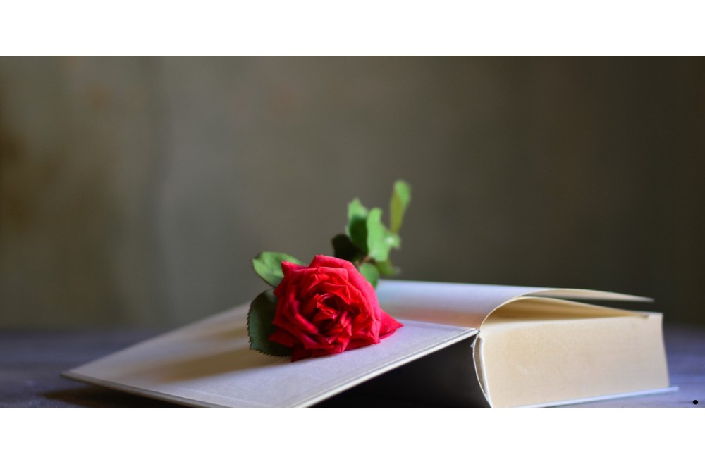 de 25 mooiste rozen gedichtjes