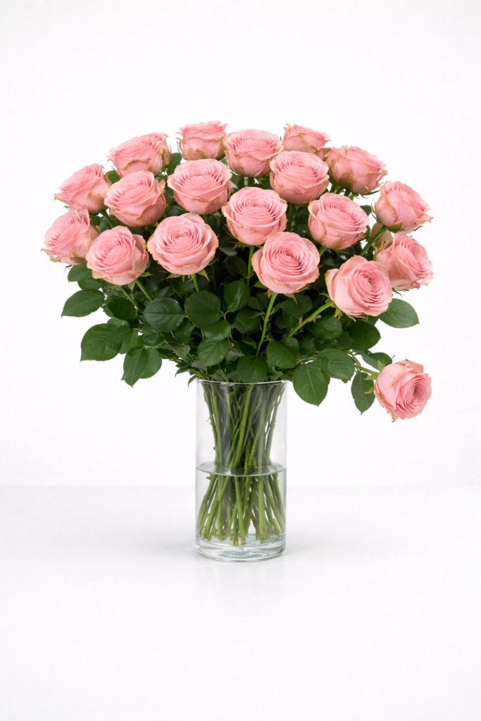 Sophia Loren 24 stuks